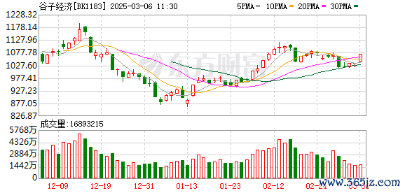 配资有哪些好的平台 “谷子经济”爆火背后：新兴消费群体崛起 谁成为最大赢家