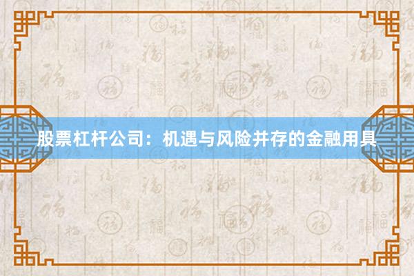 股票杠杆公司：机遇与风险并存的金融用具