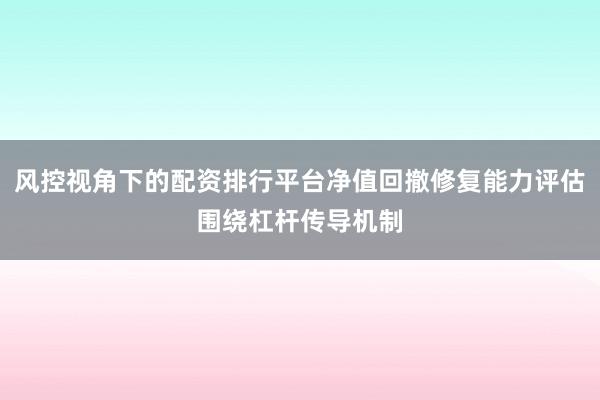 风控视角下的配资排行平台净值回撤修复能力评估围绕杠杆传导机制