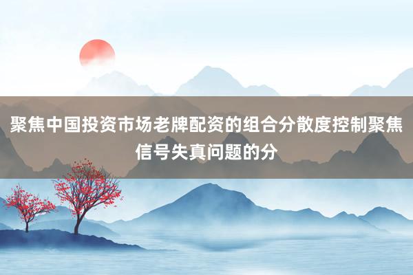 聚焦中国投资市场老牌配资的组合分散度控制聚焦信号失真问题的分