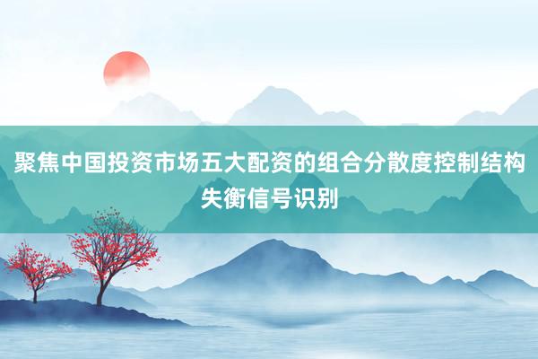 聚焦中国投资市场五大配资的组合分散度控制结构失衡信号识别