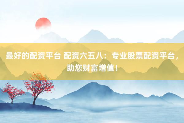 最好的配资平台 配资六五八：专业股票配资平台，助您财富增值！